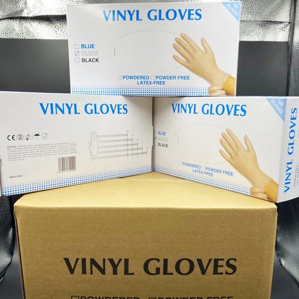 Disposable Vinyl Gloves (1)