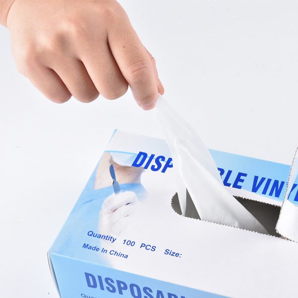 Disposable Vinyl Gloves (4)